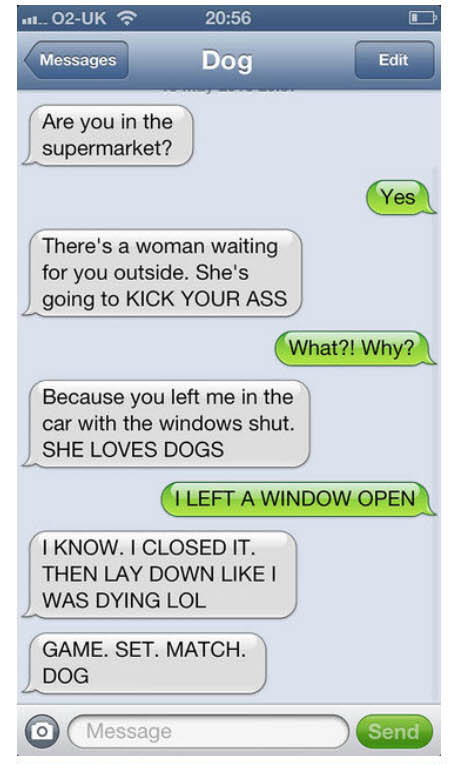 Text-messages-from-dogs-from-venice-dog-realtor