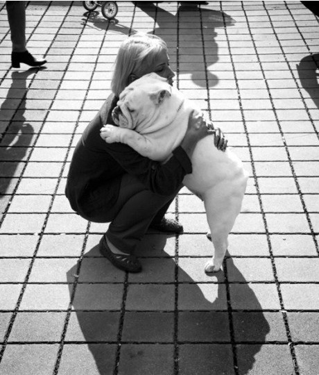 the-world_s-top-10-best-images-of-dogs-hugging-10